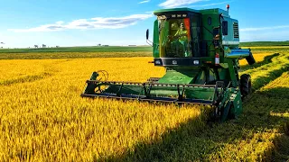 JONHDEERE 1175 NA COLHEITA DO ARROZ NO RIO GRANDE DO SUL 2024