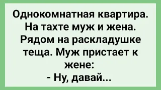 Муж Пристает к Жене, а Рядом Теща! Сборник Свежих Смешных Жизненных Анекдотов!