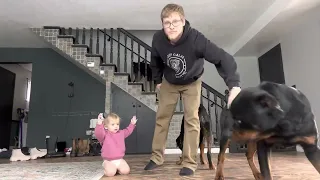 Baby Pets Rottweiler While He’s Eating And This Happens