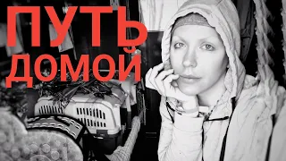 УСЛОВИЯ  в эвакуации и ПУТЬ ДОМОЙ с 😼😼😼😼😼/ Монро 🇺🇦