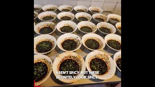 Incredible noodle skills - very spicy and delicious Chongqing Xiaomian