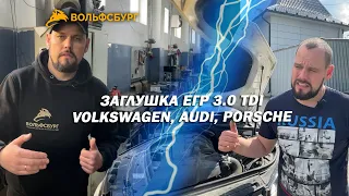 Заглушка ЕГР 3.0 TDI