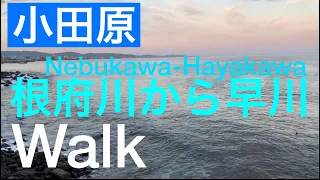 誰も行かないけど、素朴ないい景色！根府川-早川駅(倍速バージョン)/Nebukawa-Hayakawa,Odawara,kanagawa,Japan