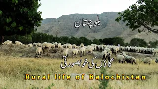 Beauty of Rural Balochistan| Feyrozai Vlogs|2020|