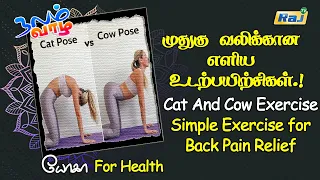 முதுகு வலிக்கான உடற்பயிற்சிகள் | Cat And Cow Exercise | Simple Exercise for Back Pain Relief | RajTv