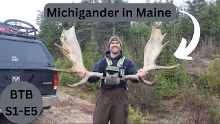 Huge Moose Antler Set Found in Maine | Beyond the Boundaries
