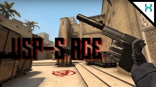 CSGO - USP-S Ace