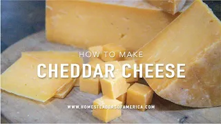 How to Make Cheddar Cheese