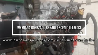 Wymiana paska rozrządu Renault 1.9 Dci. Wymiana rozrządu Scenic 1.9 DCI. Wymiana rozrządu RenaultDCI