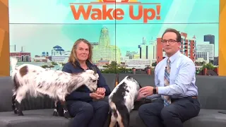 Hidden Valley Animal Adventure GM Barbara Dominesey on Wake Up