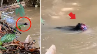 Sungguh Menegangkan, Muncul Penampakan Hantu Air Ketika Lagi Asyik Mancing di Sungai ?