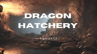 Dragon Hatchery Dank Cavern ASMR- #tyrannyofdragons D&D Dungeons and Dragons #dnd #ttrpg #rpg