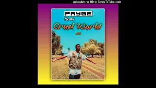 Payge Remix_-_(Cruel World)_2023 Chill Bounce Remix