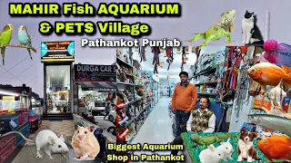 Mahir Fish Aquarium Pathankot Punjab , Complete PetShop for Birds ,Dogs ,Cats ,Fish & Exotic Pets