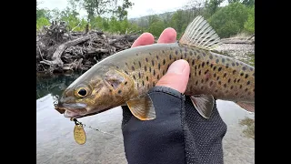 Walking and fishing on the picturesque mountain river of Primorsky Krai. 4K