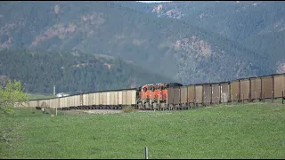 11 locomotive, 245 car, BNSF Mega coal train with 1,046 axle count on Defect Detector!