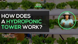 HOW DOES A HYDROPONIC TOWER WORK? | Step-By-Step