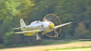 Oldtimer Fliegertreffen Hahnweide Warbirds approaching and landing on grass