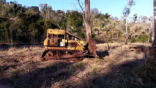 arrancando árbol con AD 14