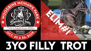 2019 Breeders Crown Elim#1 The Ice Dutchess 3YO Filly Trot