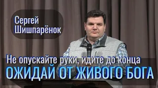 Ожидай от Живого Бога | Не опускайте руки, идите до конца | Сергей Шишпарёнок | Проповедь