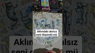 Aklındaki akılsız seni düşündü mü🤷🏼‍♀️ #fenixtarot #tarot #kesfet #viral #trend #kart #kesfett