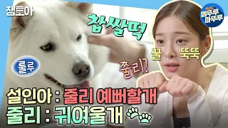 [나 혼자 산다] 이렇게 귀여우면 안 쥘리나 줄리?😘집에서 꽁냥대는 설인아와 줄리🐕 | #설인아 #줄리 MBC220429방송