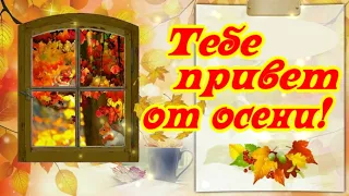 Тебе привет от теплой осени!