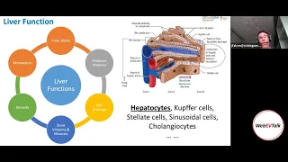 Extracellular Vesicles in Metabolism by Juan Falcon