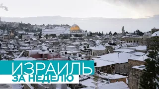 Израиль за неделю / 29.01.2022