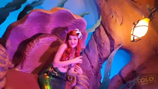 Ariel's Grotto 5/25/23