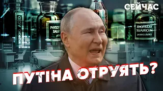 ❗️Шок! МАКСАКОВА: Обличчя Путіна вкрили ДІРКИ. Дід НЕ підпускає лікарів. Замість ботокса НОВИЧОК?
