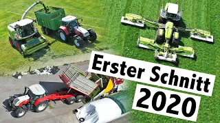 Erster Schnitt 2020 mit Claas Cougar 1400, Claas Jaguar und Silospeed | Lohnunternehmen Altenbuchner