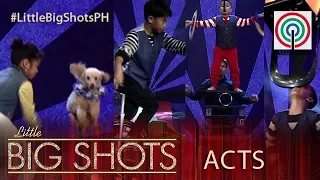 Little Big Shots Philippines: Circus Act