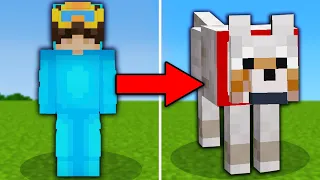 I Pranked My Friend As A Dog in Minecraft!