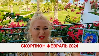 СКОРПИОН- ТАРО на Февраль 2024 года. Время новых задач♏️ от OLGA STELLA