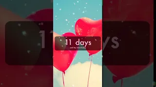 Birthday Countdown