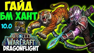 Гайд на БМ ХАНТА WoW 10.0.7 Dragonflight. Охотник Повелитель Зверей. Топ ДД, Имба дпс, Метовый ДД