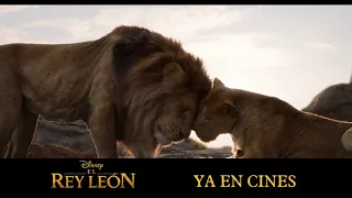 El Rey León (2019) | Anuncio: 'Vive y sé feliz' | HD