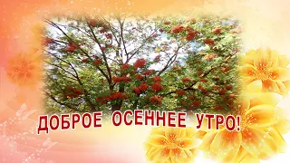 #Доброеутро ДОБРОЕ ОСЕННЕЕ УТРО!