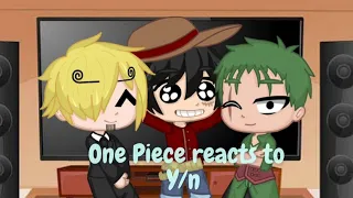 One piece [Straw hats + Boa, Koby, Vivi, Carrot and Sabo] reacts to Y/n || justfrancis ||