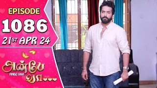 Anbe Vaa Serial | Episode 1086 | 21st Apr 2024 | Virat | Shree Gopika | Saregama TV Shows Tamil