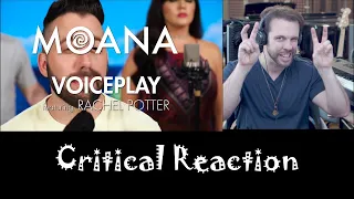 Aca Music Producer reacts to Voiceplay and Rachel Potter * Moana - Chris Rupp Reaction/Critique