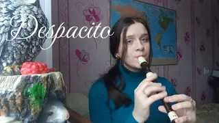 Despacito on recorder/ Деспасито на блокфлейте/Популярные песни на блокфлейте