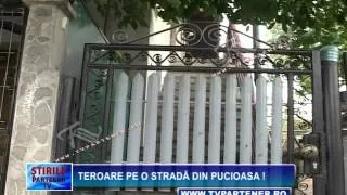 Teroare pe o stradă din Pucioasa !