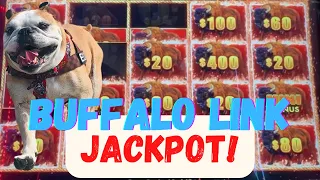 Buffalo Link JACKPOT! Multiple Bonuses, Retriggers & Features, FINALLY We Landed This!
