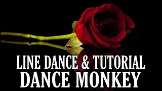 DANCE MONKEY - Line Dance (Dance&Tutorial)