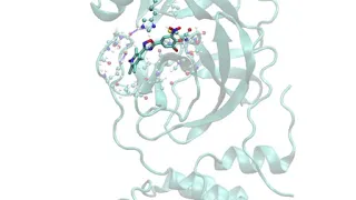 SARS-COV19 3CL Protease inhibited by drug