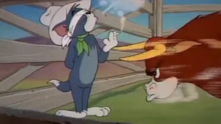 Una mattina (remix) 柔情小马 - Nhạc buồn tom & jerry tâm trạng