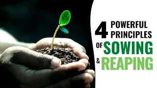 The Power of The Seed: 4 Powerful Principles of Sowing and Reaping